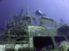 inspiration rebreather over zenobia